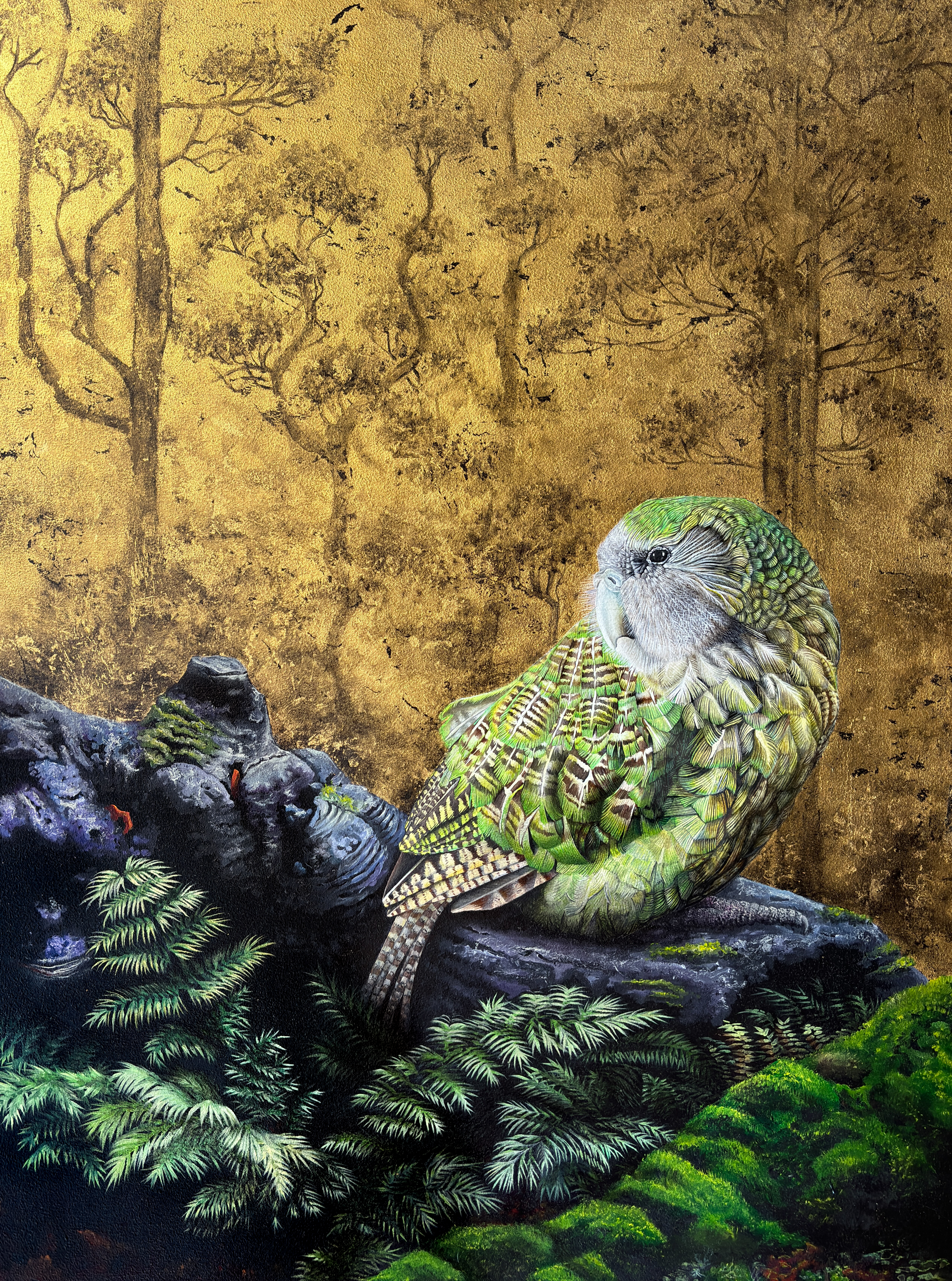 Kākāpō- Sentinel of the Rock (1)
