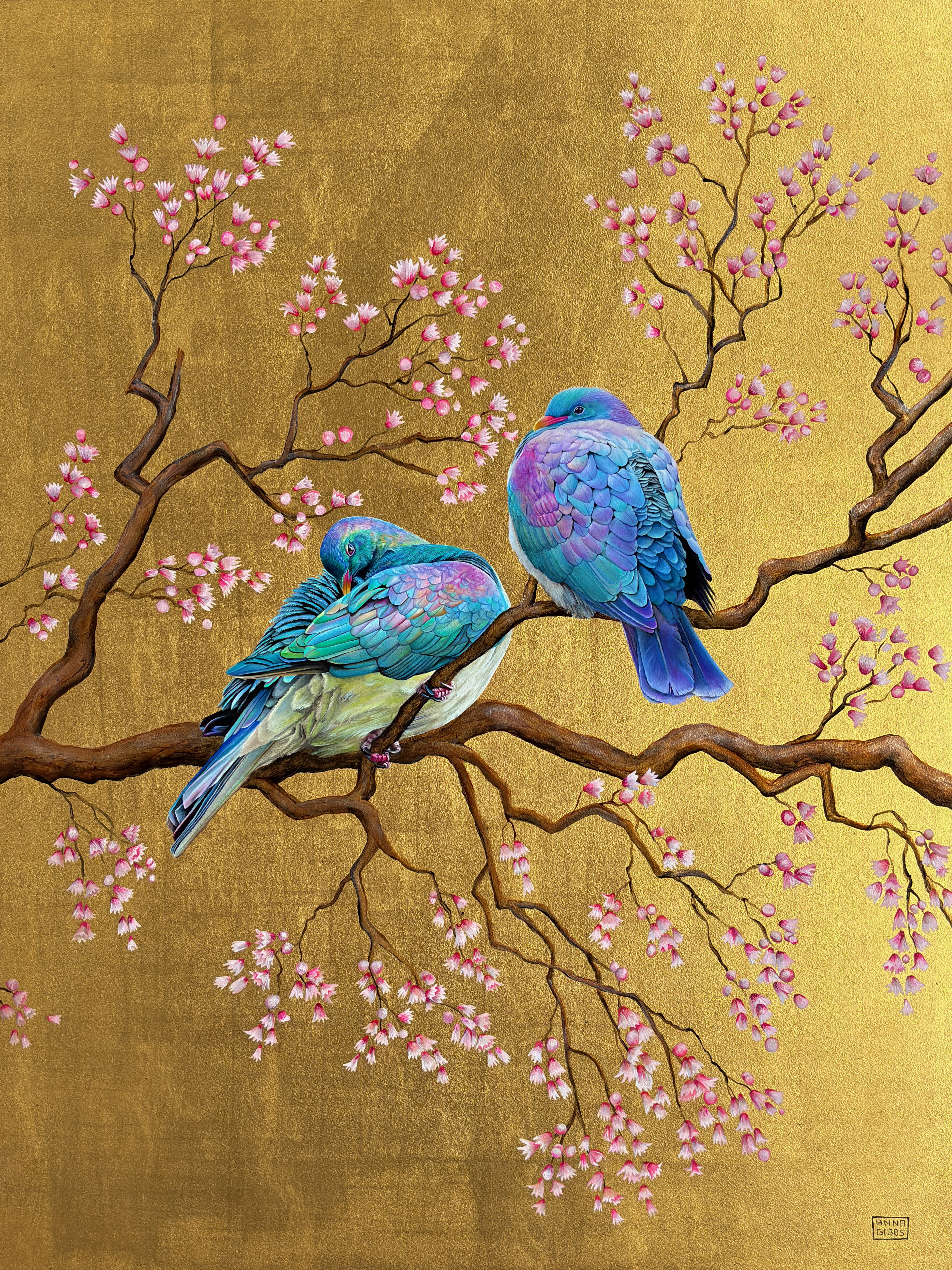 Kereru Amidst the Blossom final edit_