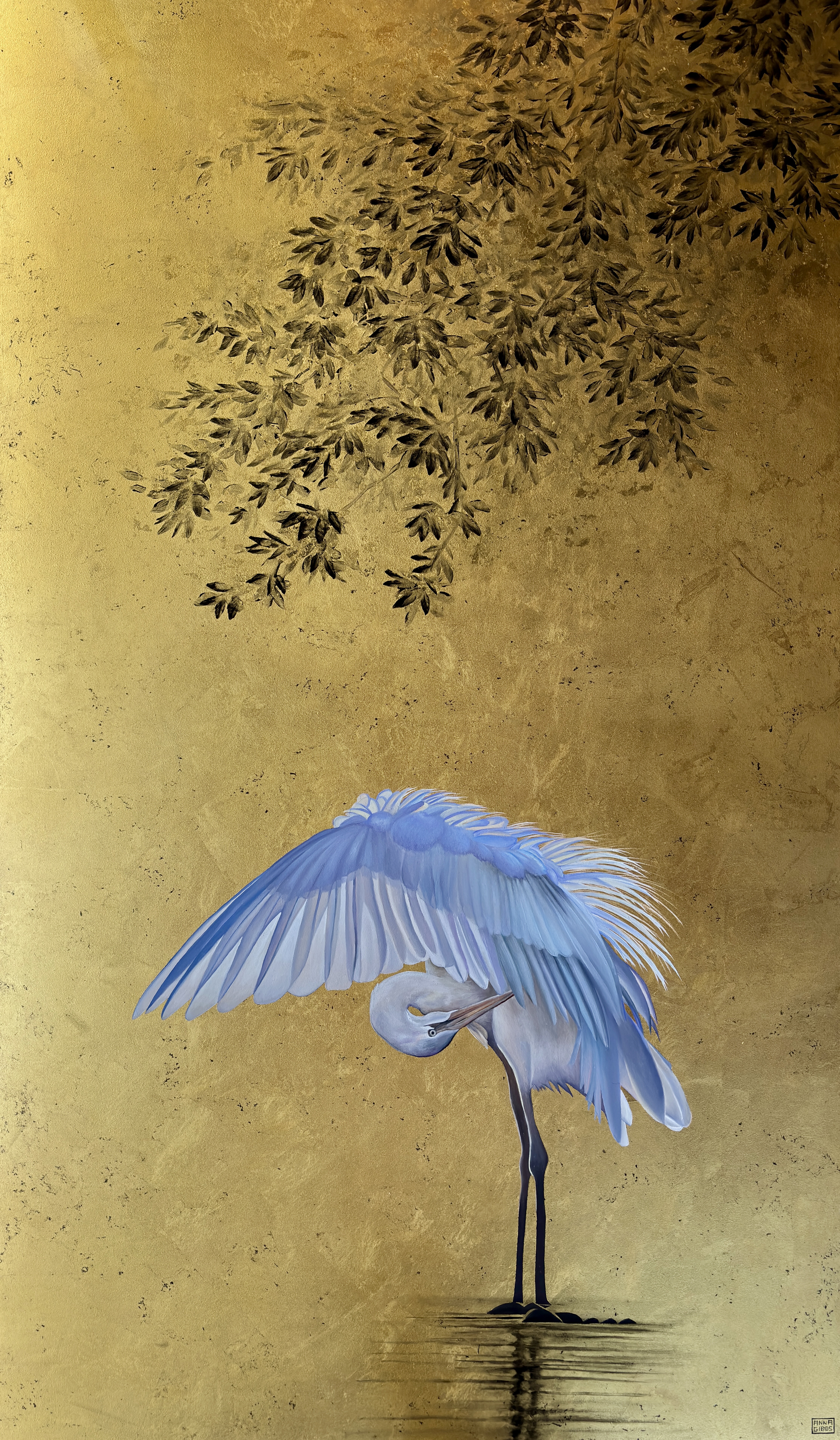 Kōtuku, Elegance in the Shallows