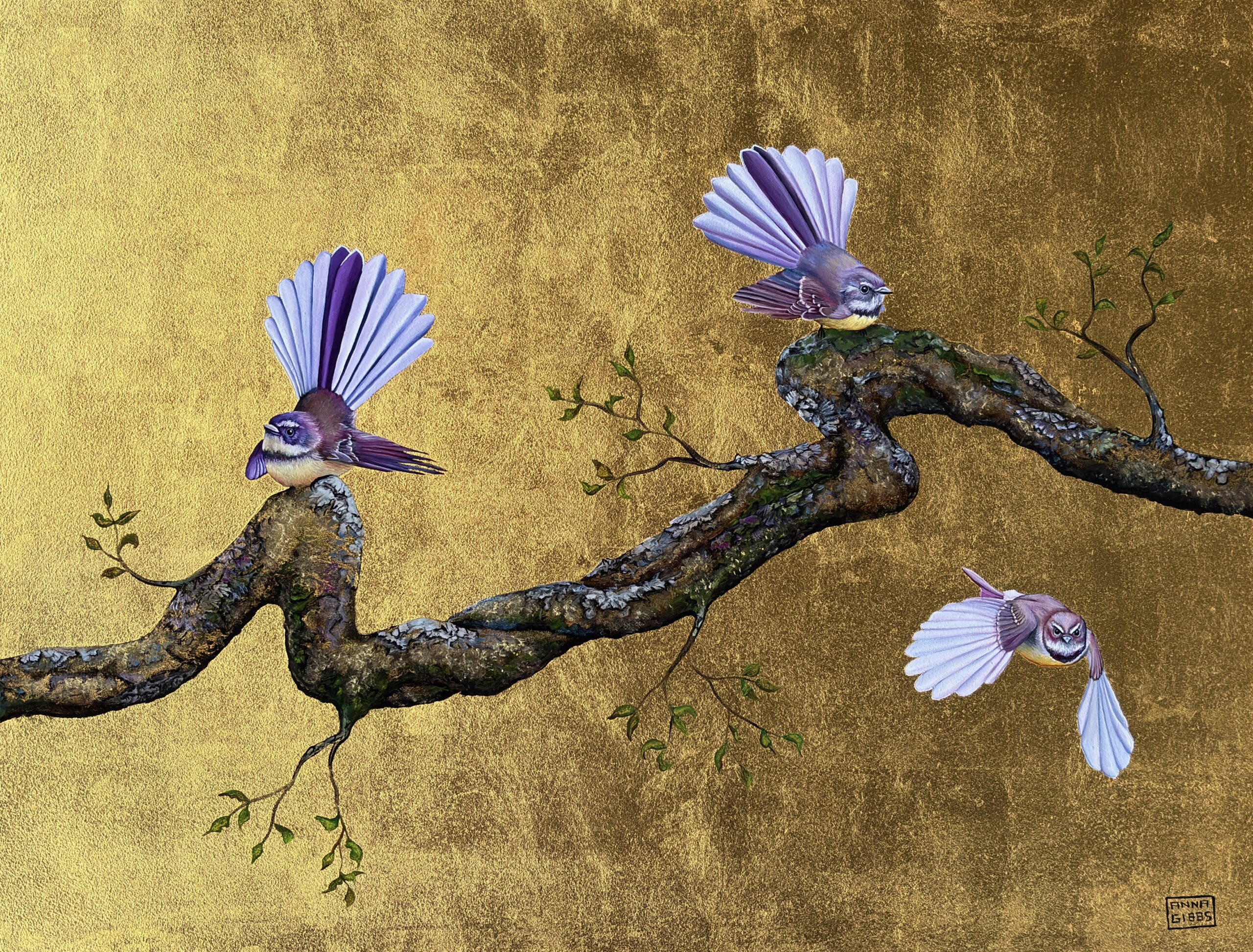 Pīwakawaka Dancing on Lichen (1)
