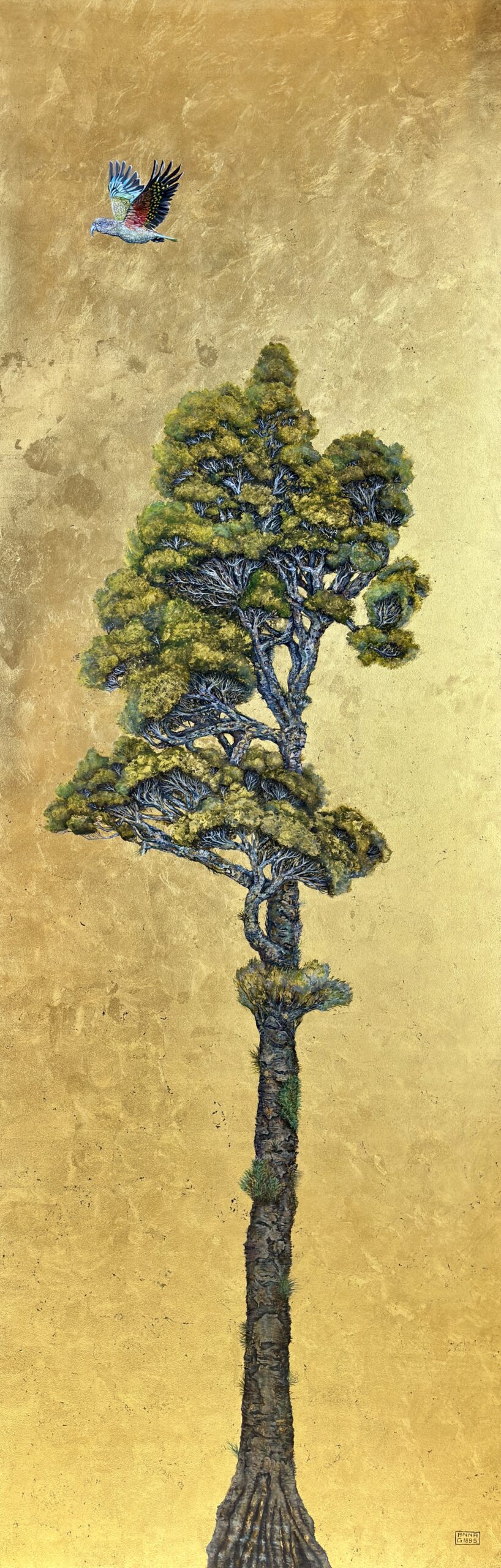 The Kahikatea Tree (1)